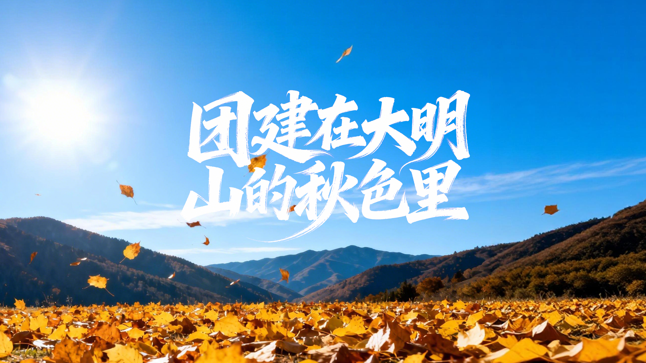 我们的第一次团建，在大明山的秋色里