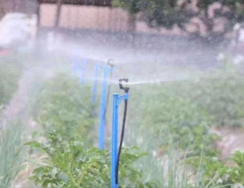 Micro Jet Sprinkler Irrigation3.jpg
