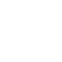 Download Icon