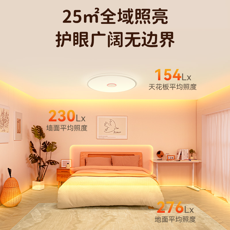 青少年房吸顶灯pro