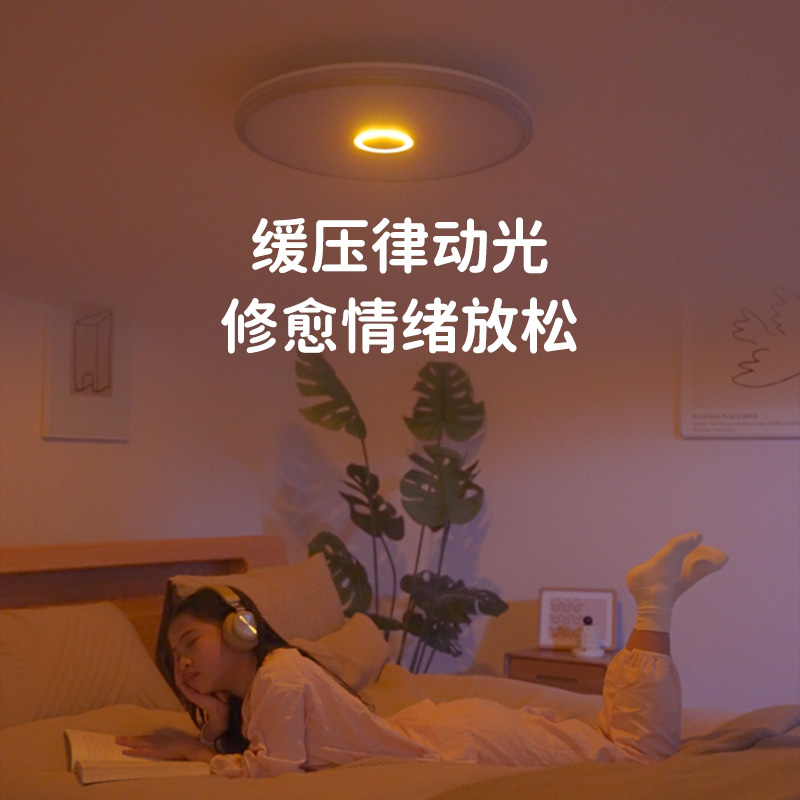 青少年房吸顶灯pro