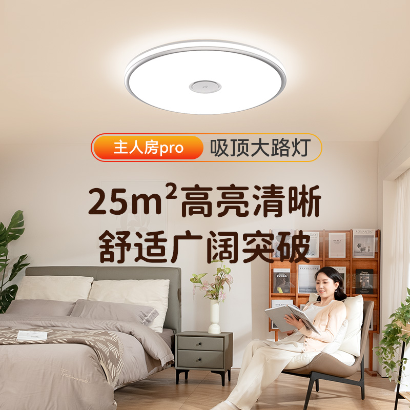 主人房吸顶灯
