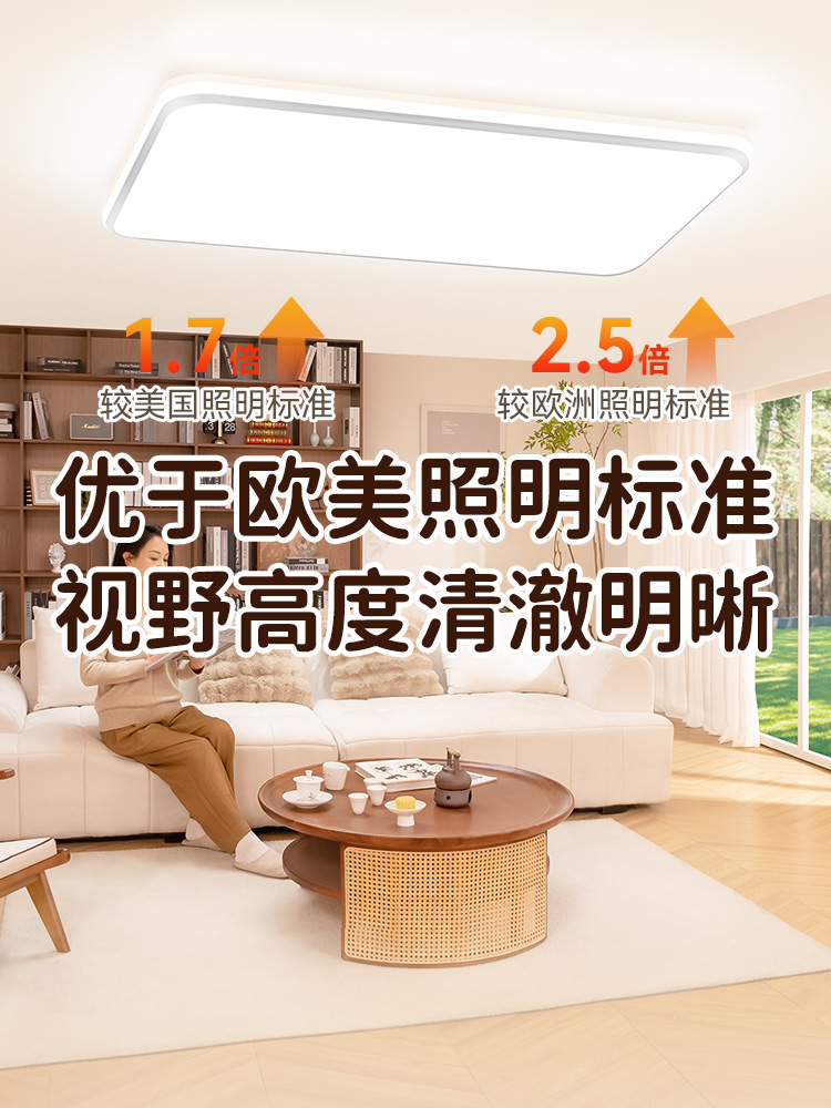 大客厅灯max