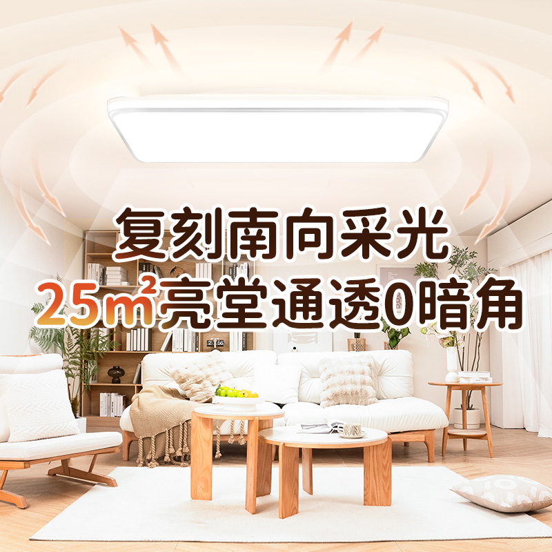 客厅灯旗舰plus