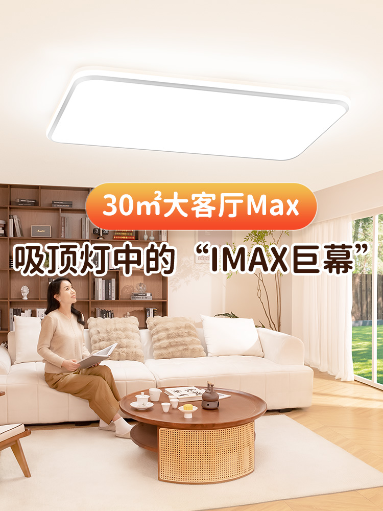 大客厅灯max