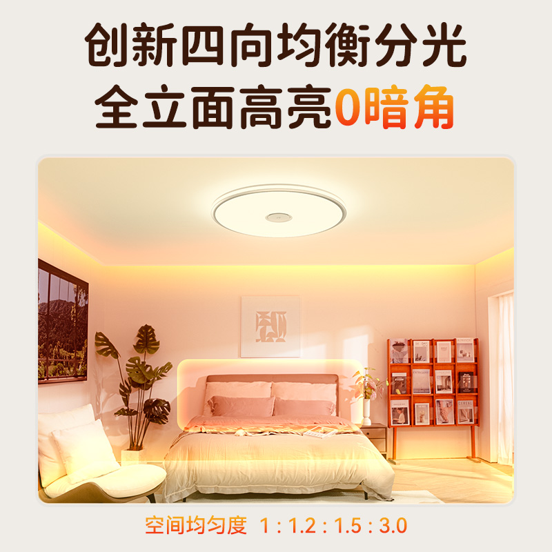 主人房吸顶灯